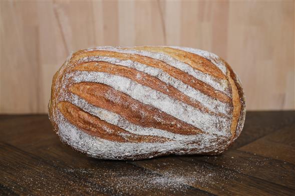 Italiensk landbrød